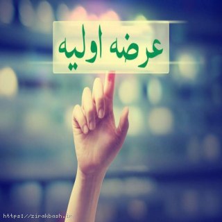 بورس,عرضه اولیه