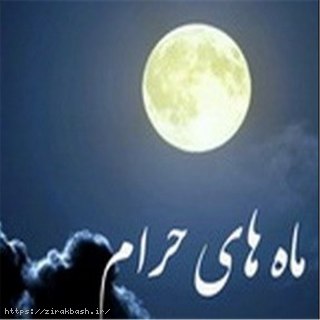 ماه های حرام,دیه,جرم,قتل
